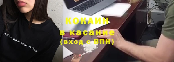 индика Осинники