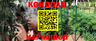 дурь Новозыбков