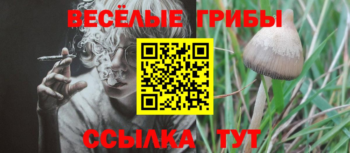 Галлюциногенные грибы MAGIC MUSHROOMS  Вход с VPN  Юрга 